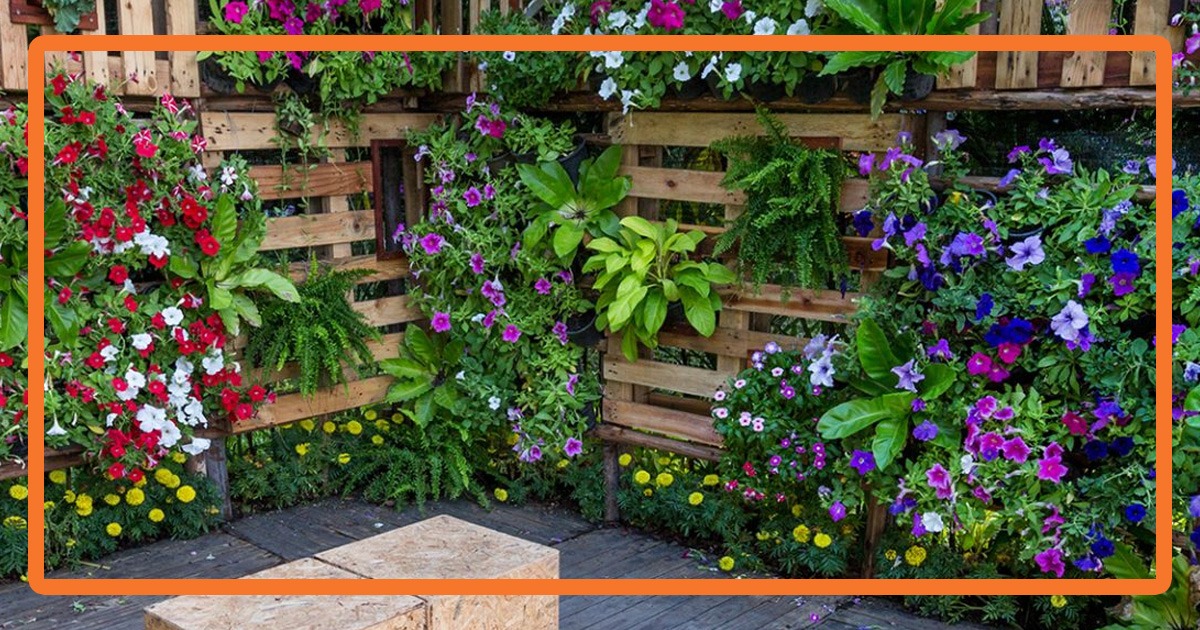 Créer un jardin vertical pour les petits espaces ?