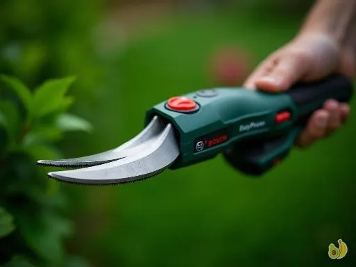 Bosch EasyPrune : le sécateur électrique sans fil qui révolutionne la taille