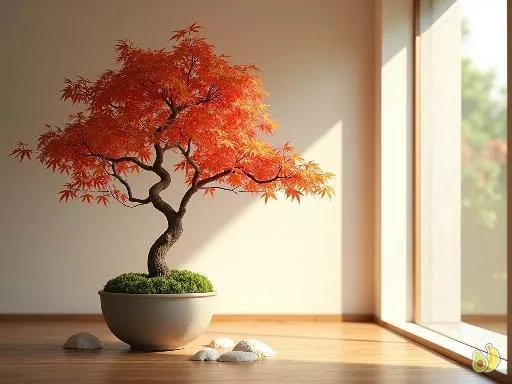 Nos astuces pour planter un érable du Japon à l'intérieur