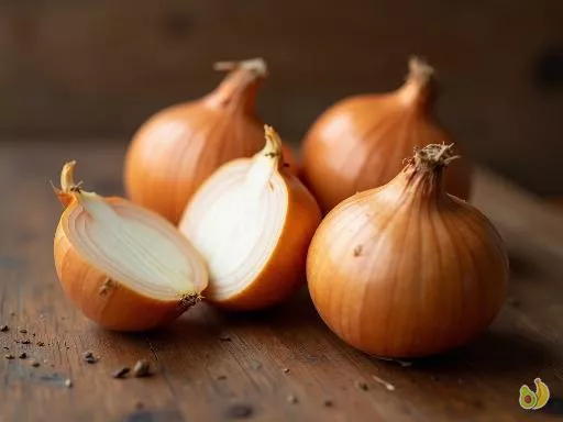 Saison de l’oignon