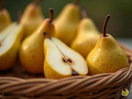 Saison de la poire